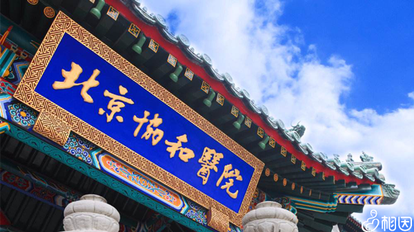 北京协和医院