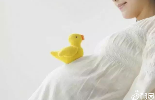 风疹病毒igm阳性