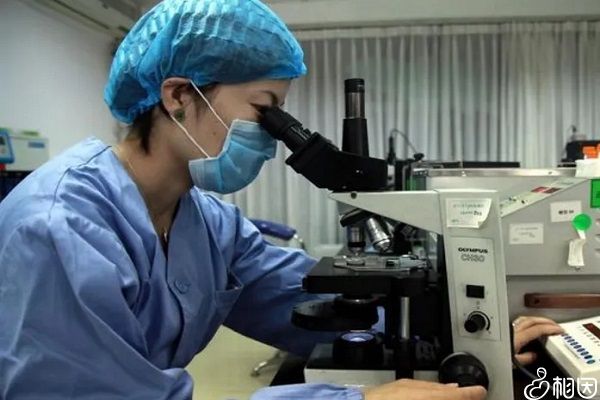 拍摄的上海一妇婴医院医生