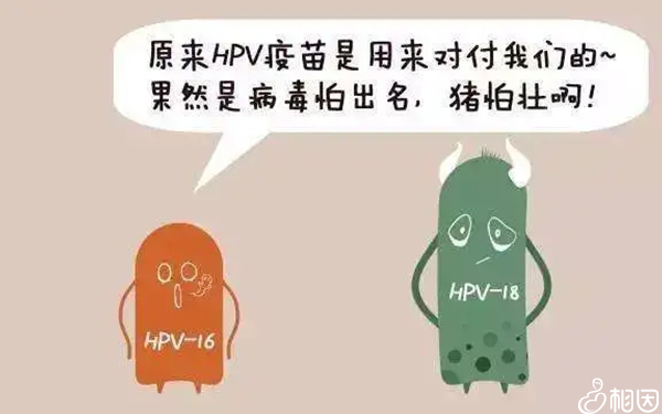 宫颈癌疫苗作用