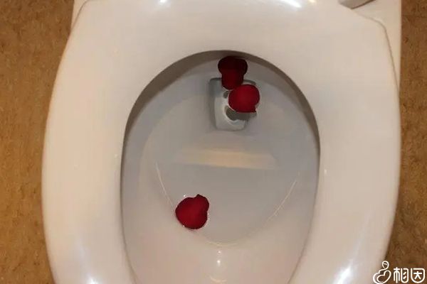 阴道流血是试管失败症状之一