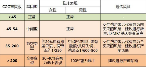 FMR-1基因(CGG)n重复次数