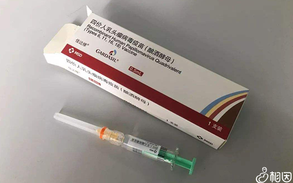 hpv疫苗二价多少钱
