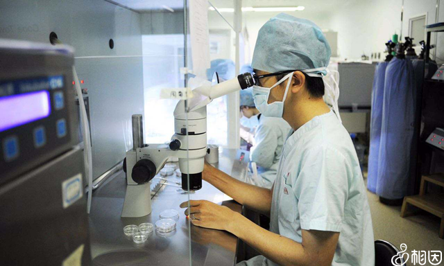 生殖中心胚胎培养室