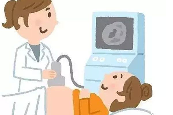nt值高也可生育出健康宝宝