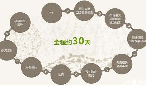 抗结剂方案流程