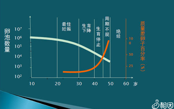 集爱试管成功率