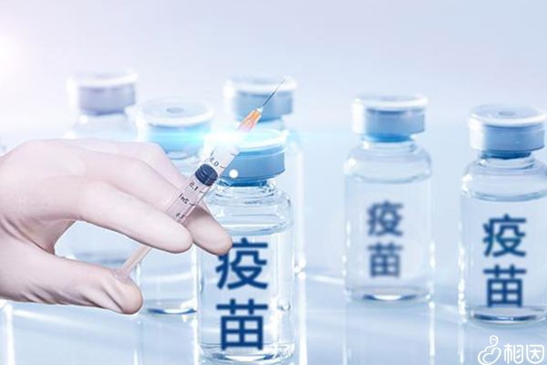 疫苗接种流程