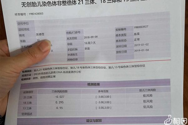 无创dna检测时间