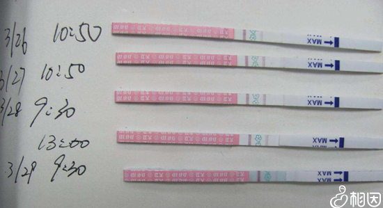 排卵试纸监测排卵