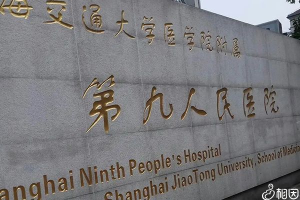上海九院