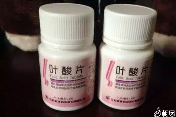 不同叶酸片的效果基本一致