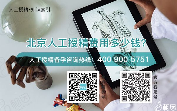 北京人工授精费用