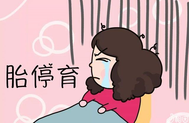 胚胎移植后必须根据医生的要求定期检查