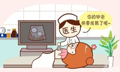 做卵泡监测B超检查