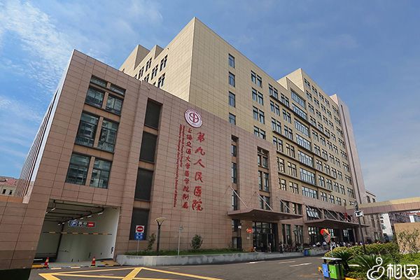 上海九院试管费用高