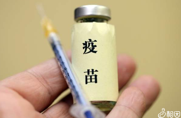 百白破一共要打几次