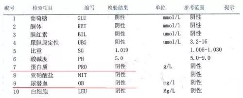 尿常规检查项目示例