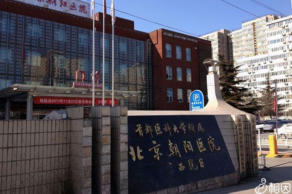 北京朝阳医院可做供精