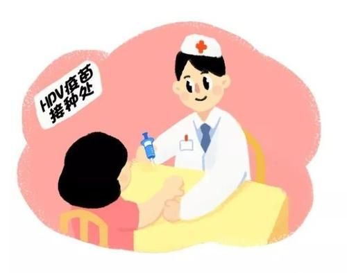hpv检查时不需要提交特殊材料