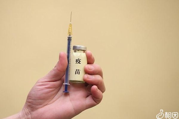 第三针戌肝疫苗