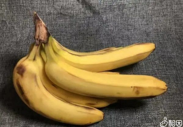 香蕉