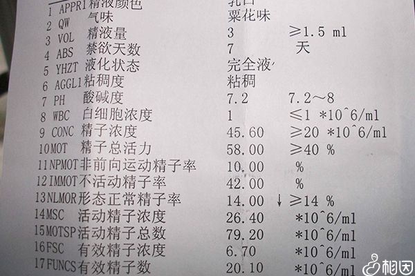 男性备孕检查项目不少