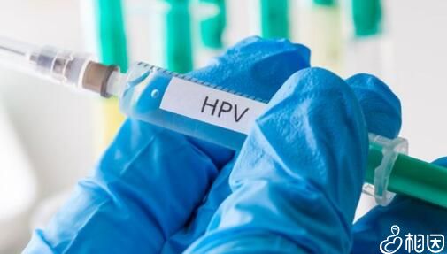 接种hpv疫苗前需要检查身体是否符合标准