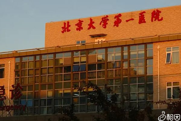 北大医院