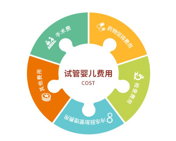 试管婴儿费用组成表