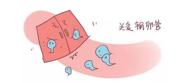 双侧输卵管堵塞可以试管婴儿