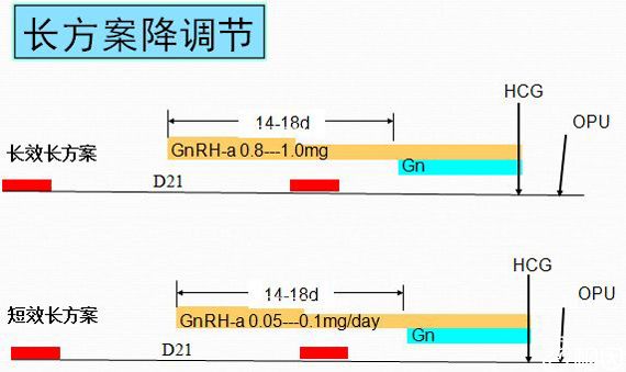 长方案促排时间要更久
