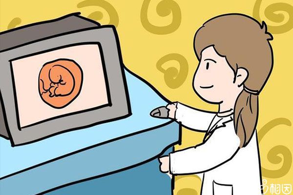 检查结果没问题就可以建档