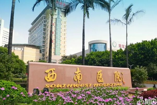 西南医院可做试管