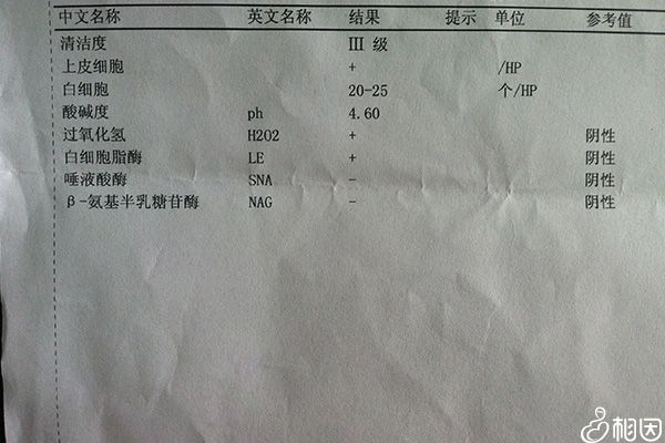 女性分泌物检查报告单