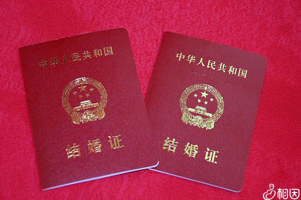上海供精试管要提交资料