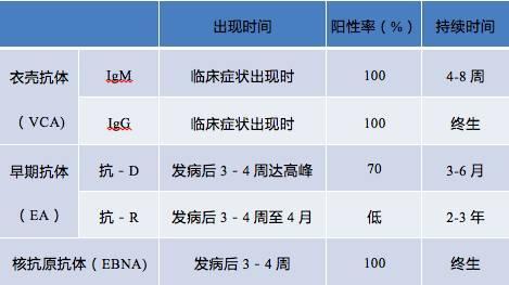 eb病毒五项