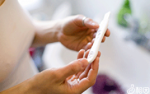 取环后多久可以怀孕