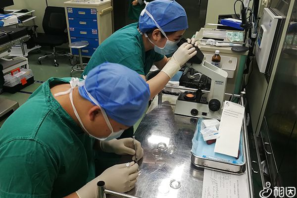 显微镜取精收费不高
