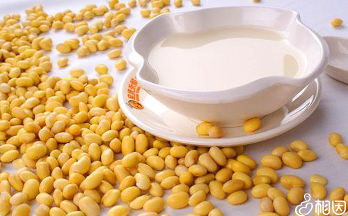 怀孕不能吃什么豆类食品吗
