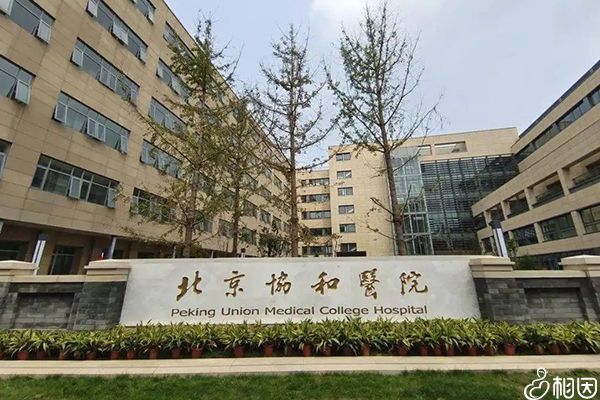 北京协和医院