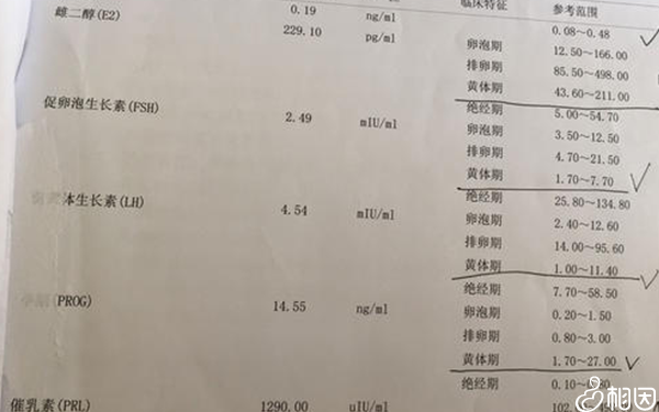 性激素六项检查