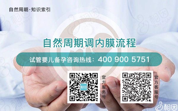 自然周期调内膜流程