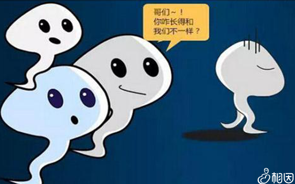 精子畸形