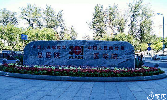 301医院试管婴儿成功率