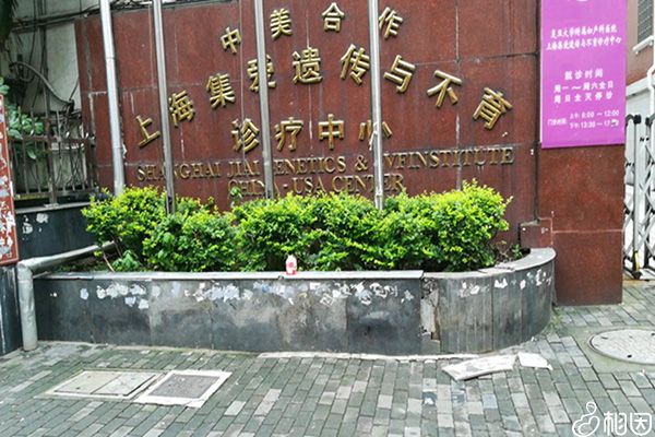 上海集爱