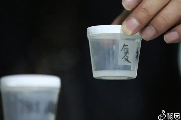 射精后精子的存活率