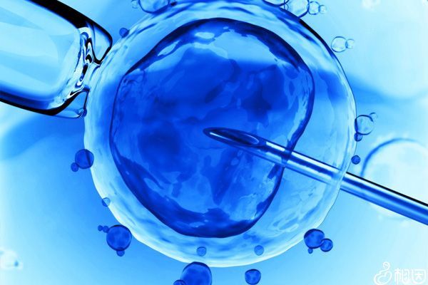 人工授精成功率低