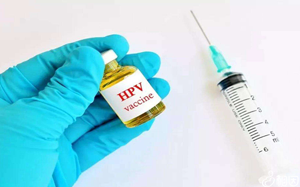 hpv疫苗是什么