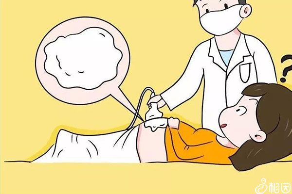 nt检查结果不能作为确诊依据